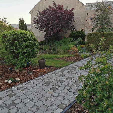Fewo Rohleder De Mit 130M2 Und Garten Fuer 6Pers Mit 2 Bad 科特布斯 外观 照片