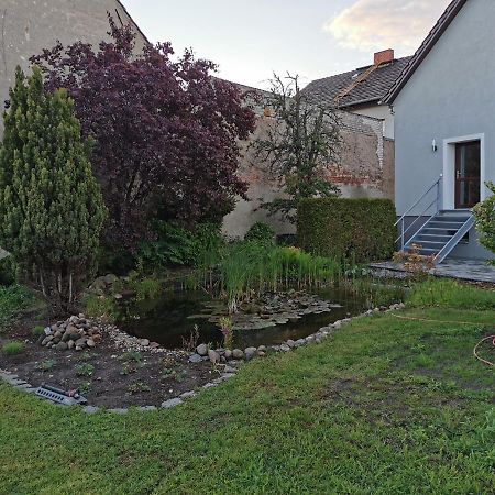 Fewo Rohleder De Mit 130M2 Und Garten Fuer 6Pers Mit 2 Bad 科特布斯 外观 照片