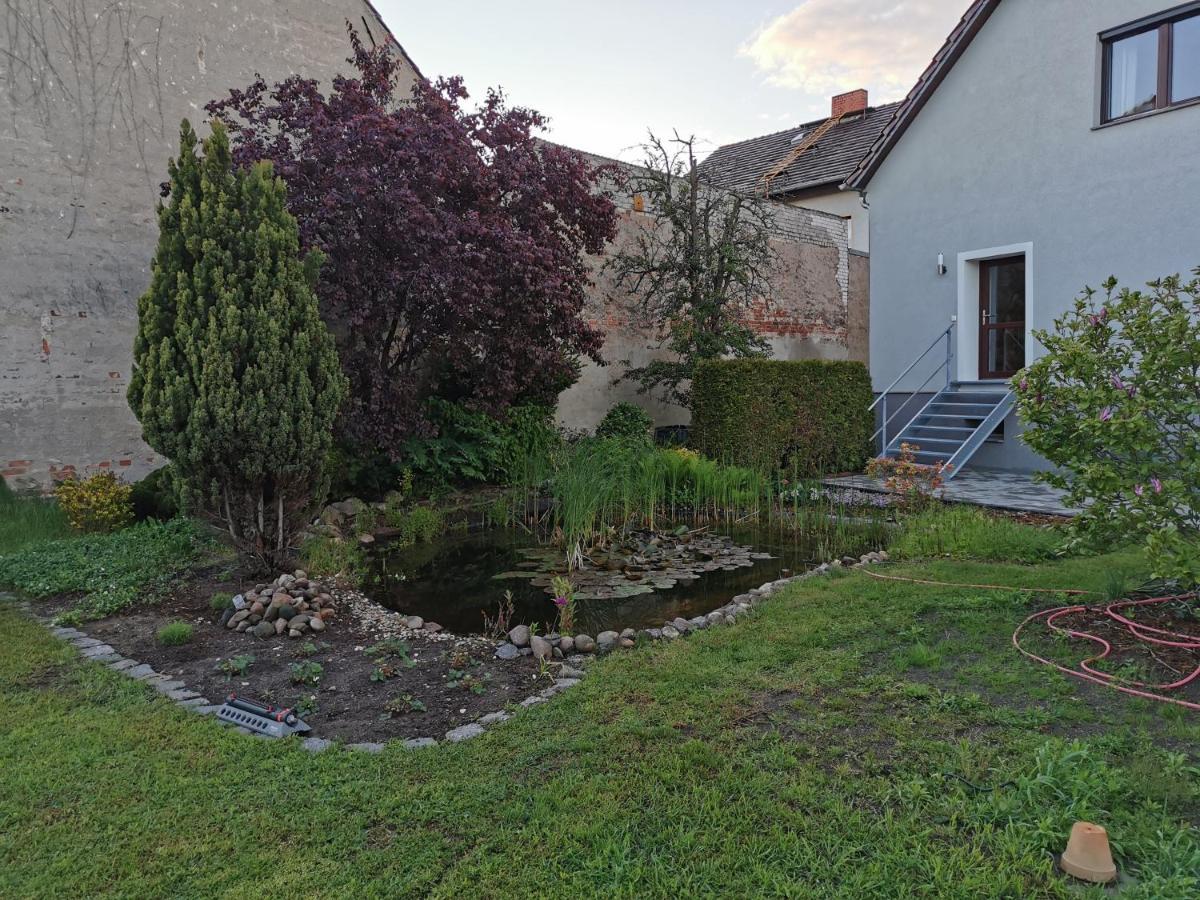 Fewo Rohleder De Mit 130M2 Und Garten Fuer 6Pers Mit 2 Bad 科特布斯 外观 照片
