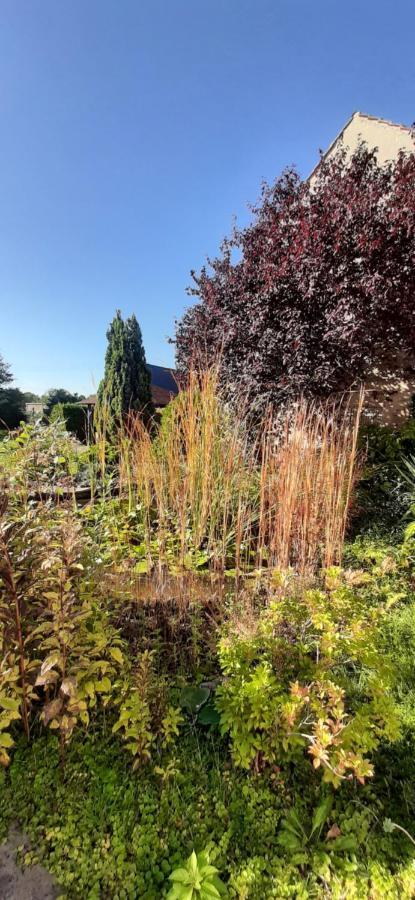 Fewo Rohleder De Mit 130M2 Und Garten Fuer 6Pers Mit 2 Bad 科特布斯 外观 照片